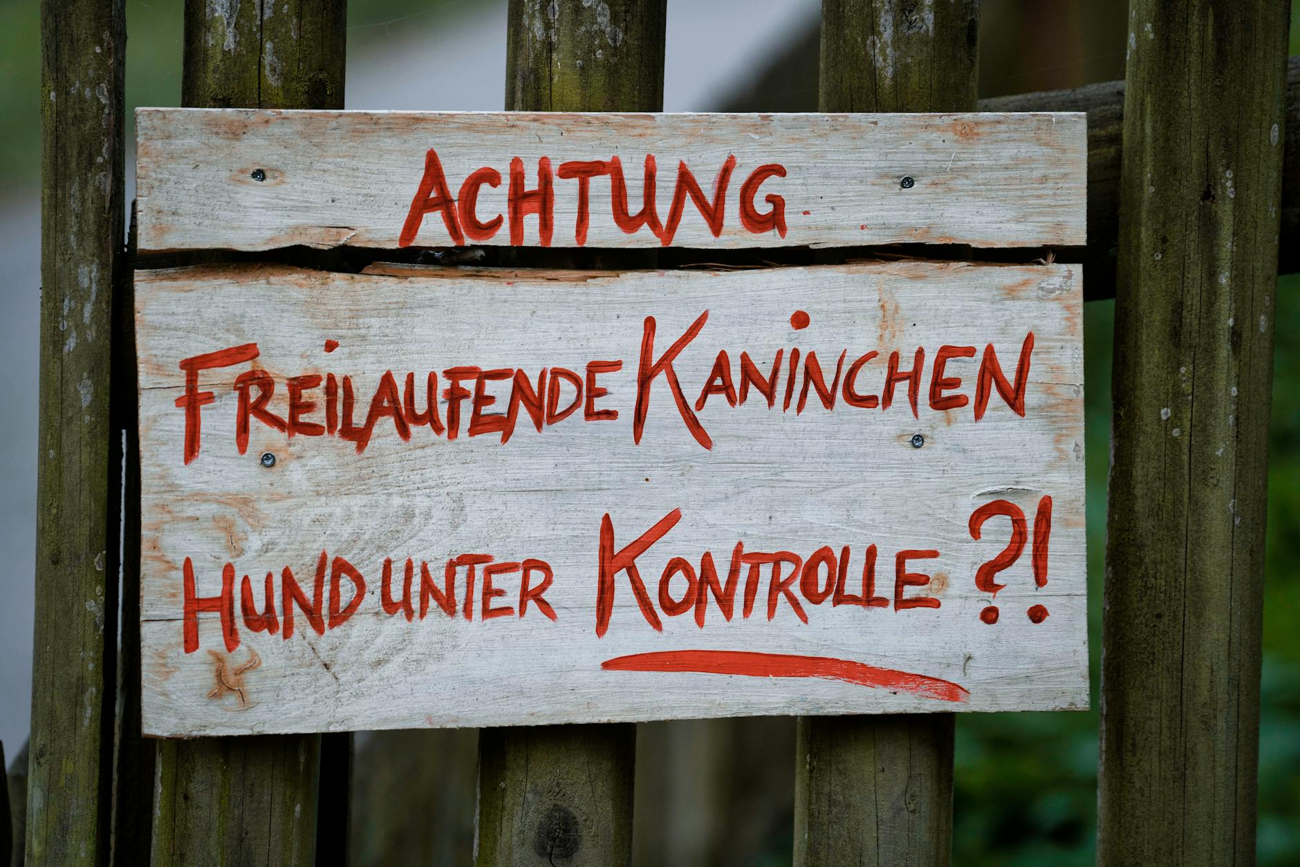 Młodszy Kontroler Jakości Tczew - zdjęcie osoby pracującej przy kontroli jakości